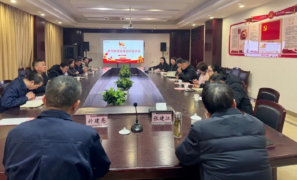 ��ҵ��֧���ٿ�2024������ܽ����