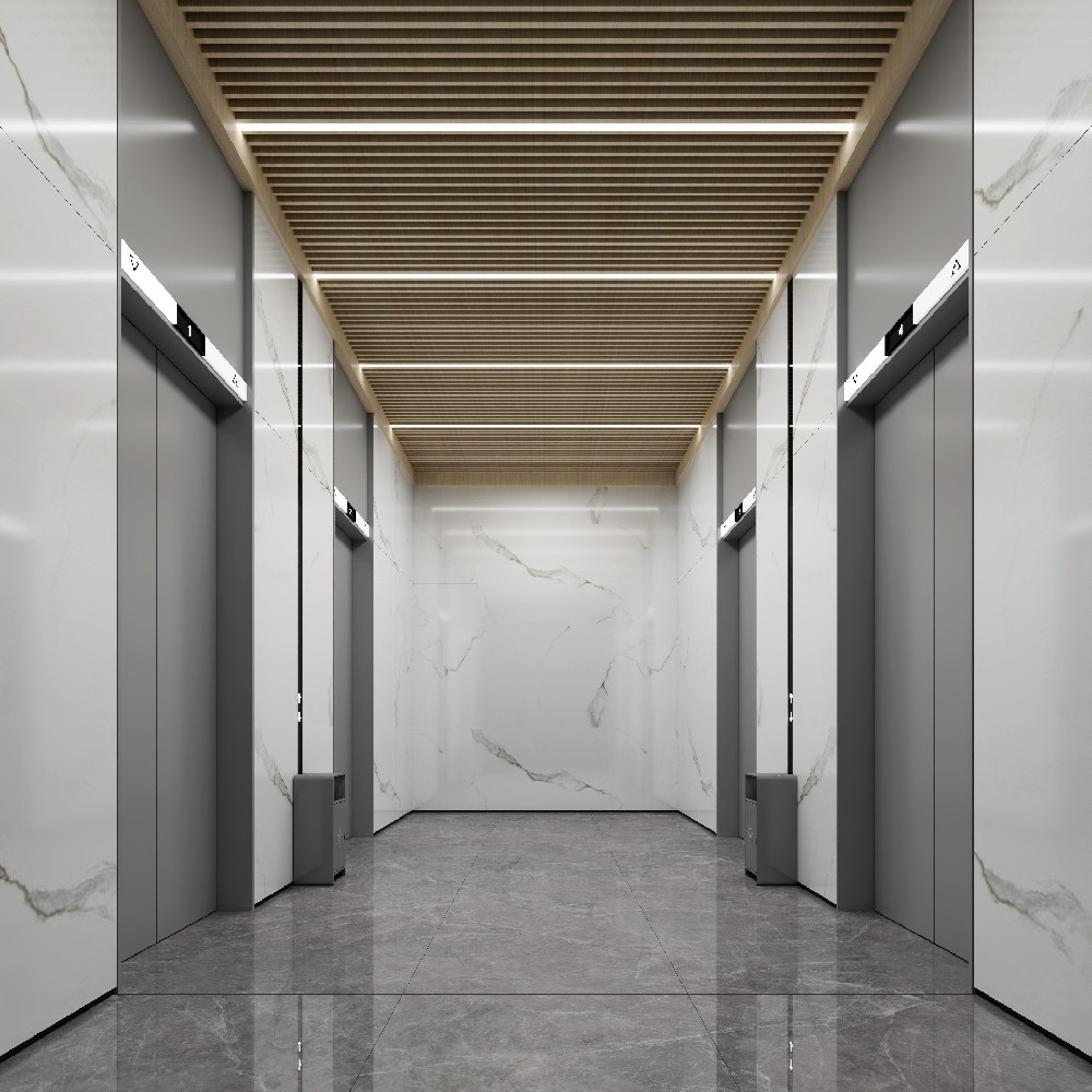 ��׼����ݼ�